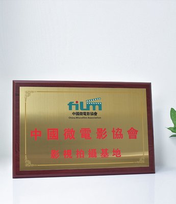 授权牌荣誉牌定做 木托铜牌匾木质证书 实木仿红木不锈钢金属奖牌